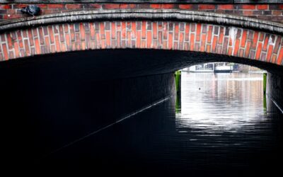 boris-izmaylov-EMcAVskLFzY-unsplash