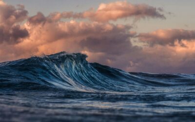 silas-baisch-ceITO2rlDgc-unsplash